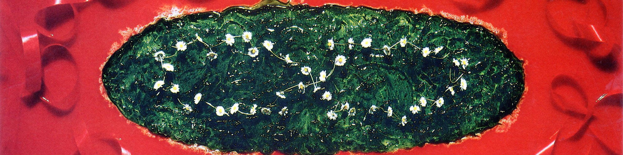 Image: Helen Chadwick