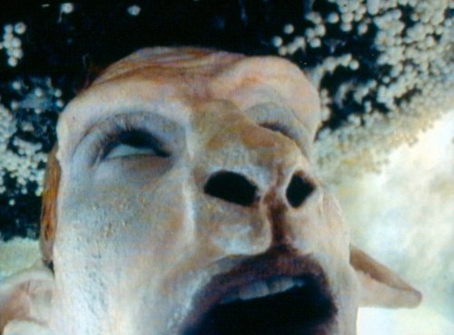 Still © Matthew Barney