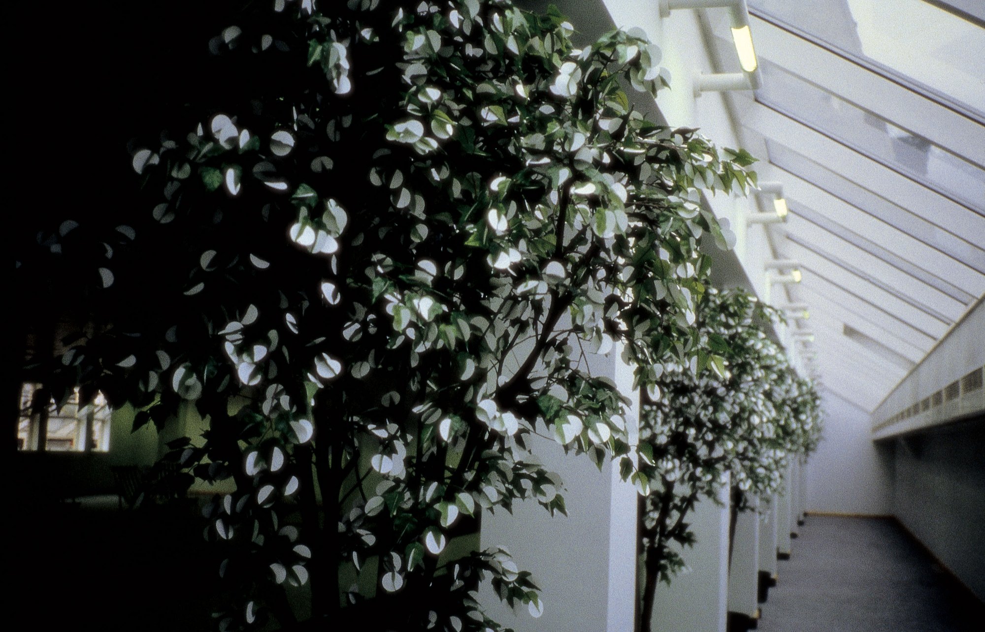 Image: Close up image of the Moon Trees installation, part of Empty Club at 50 St James's Street. Photograph: Stephen White.