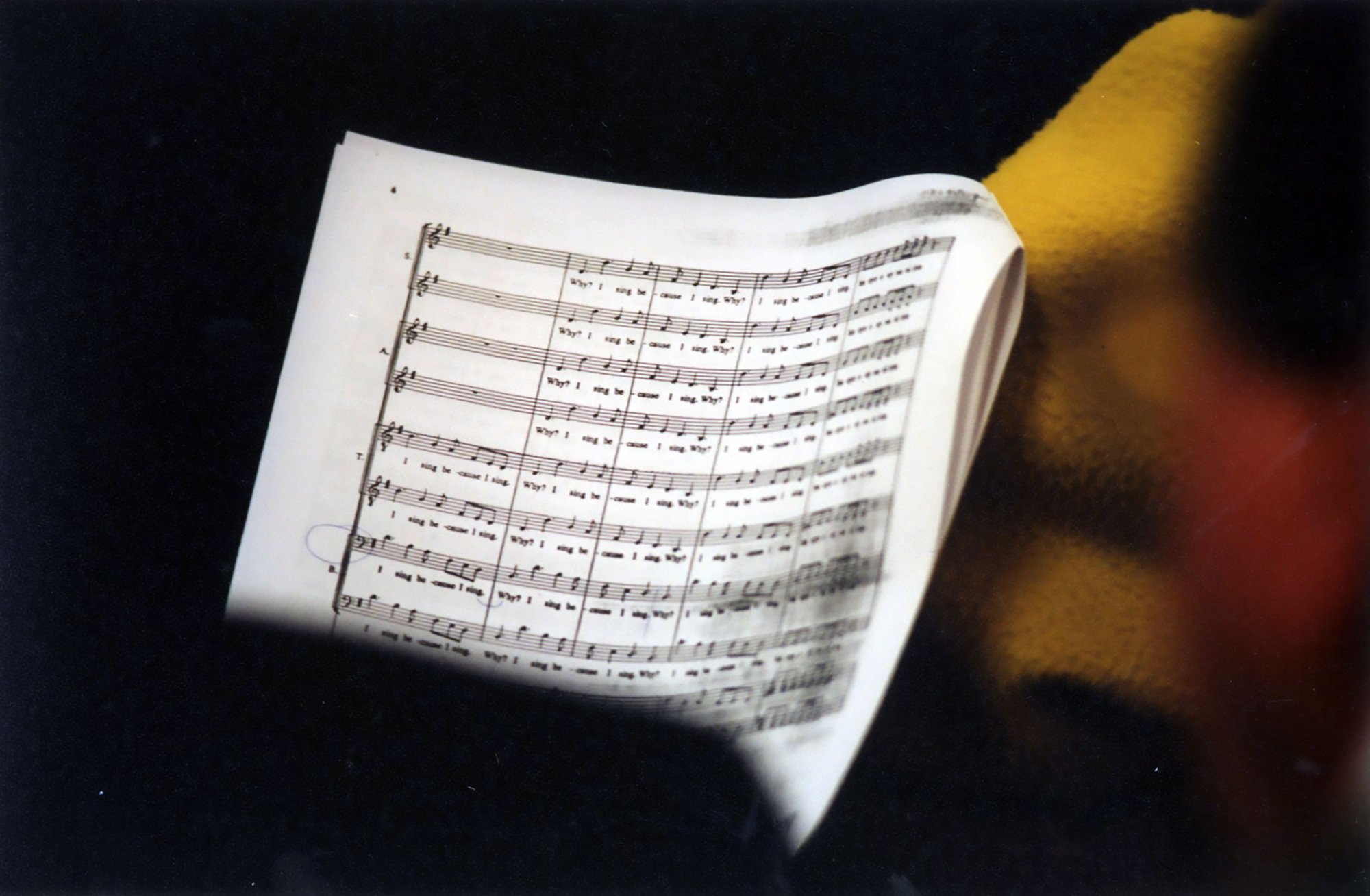 Image: A choir member studies their sheet music, featuring the repeating lyrics "Why? I sing because I can sing"  Photograph: Parisa Tagwizadin