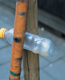 Photograph: Richard Wentworth