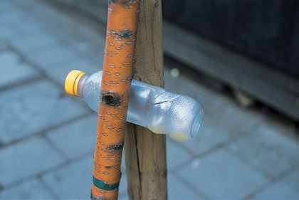 Photograph: Richard Wentworth