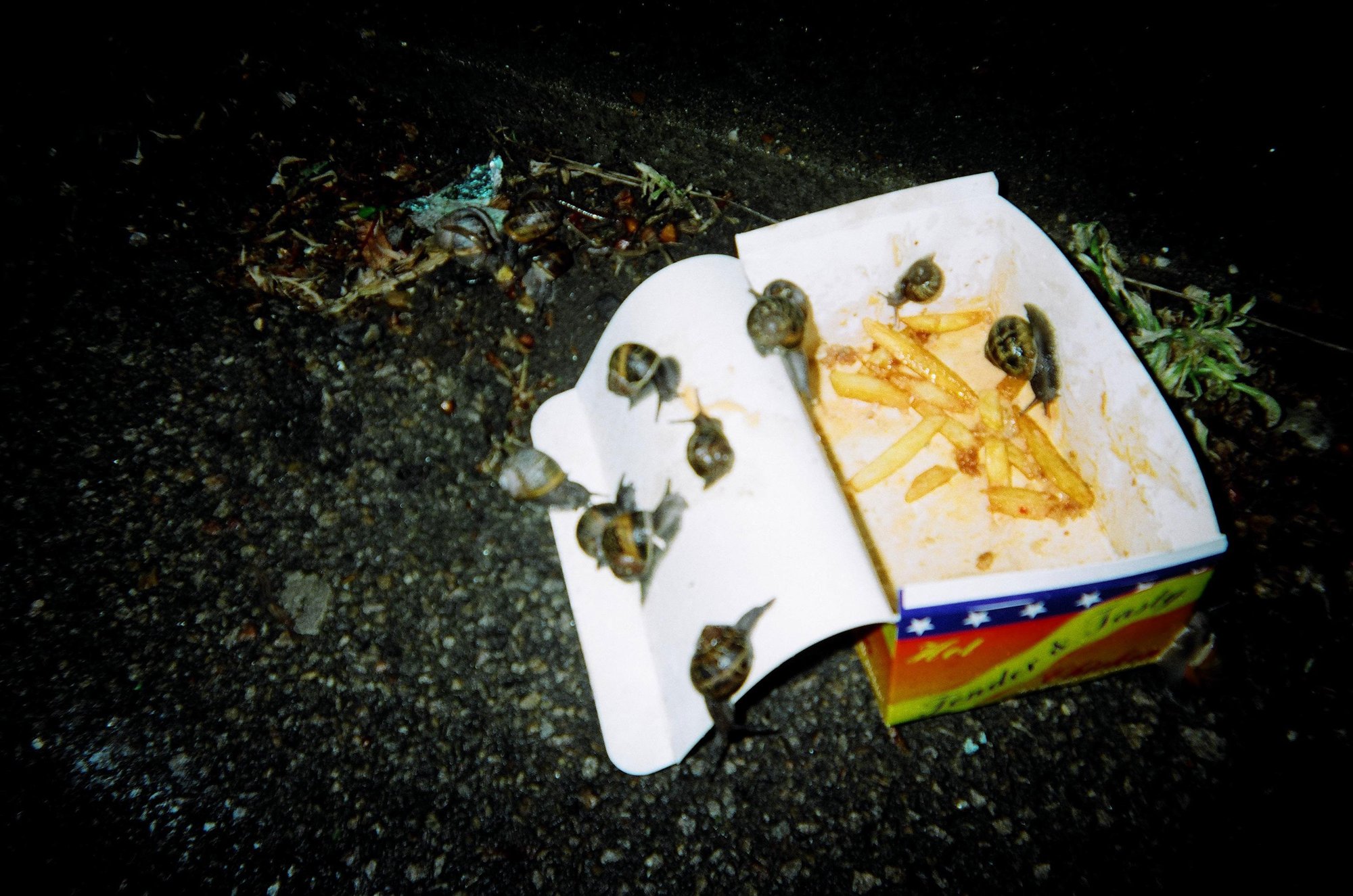 Snails on Chips
NightJam: a music and photo project exploring the London night led by Scanner with MCs and photographers from the New Horizon Youth Project for homeless young people in King's Cross. Commissioned by Artangel Interaction, Summer 2006. 
