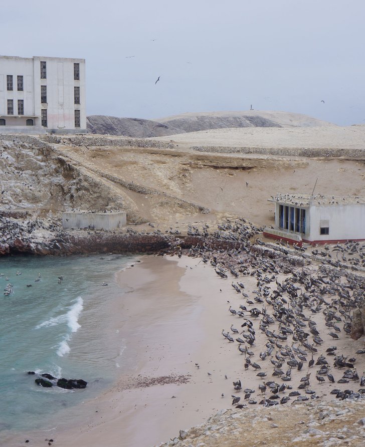 Dinh Q. Lê, Chinca Norte Island. Production still from The Colony, 2016. An Artangel commission. Photo courtesy the artist