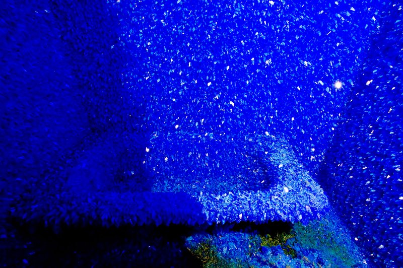 The bathroom, Roger Hiorn, Seizure (2008). Photograph: Marcus Leith