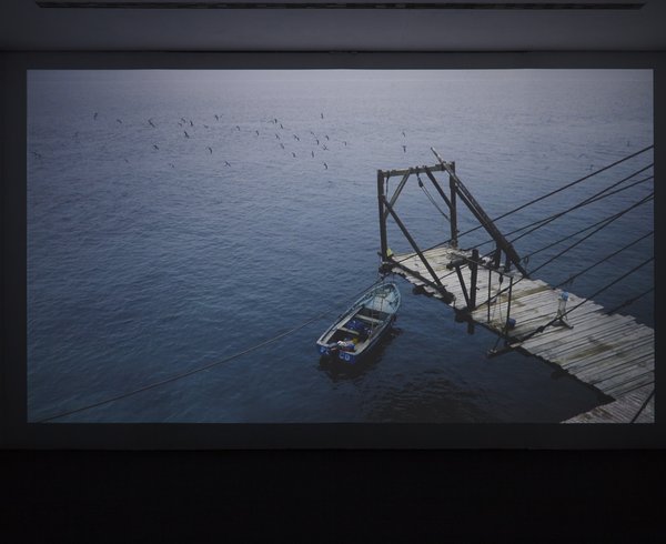 Dinh Q Lê's The Colony installed at Ikon Gallery, Birmingham
Photograph: Stuart Whipps