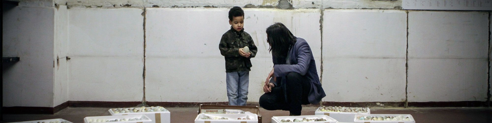 Andy Holden showing a visitor a sculptural installation of porcelain eggs: Holden's work How the Artist Was Led to the Study of Nature (2017). Photograph: Liam White, October 2017