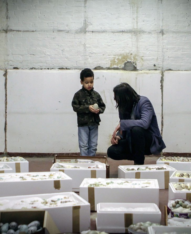Andy Holden showing a visitor a sculptural installation of porcelain eggs: Holden's work How the Artist Was Led to the Study of Nature (2017). Photograph: Liam White, October 2017
