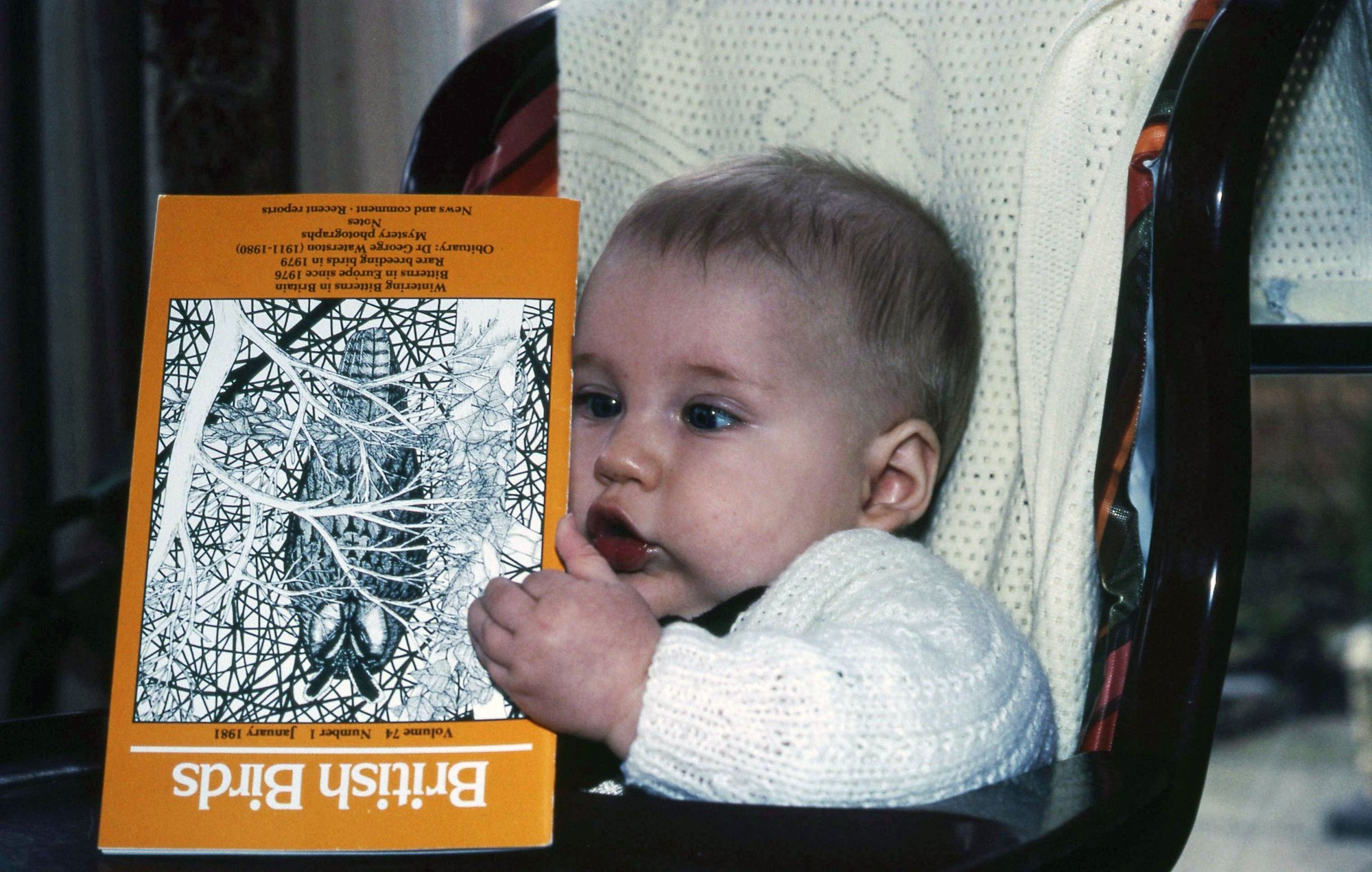 Andy Holden, aged one year old, reading British Birds. Volume 74 Number 1 January 1981 upside down. Photograph: Peter Holden. This photograph was used in an advert for British Birds magazine, 1983