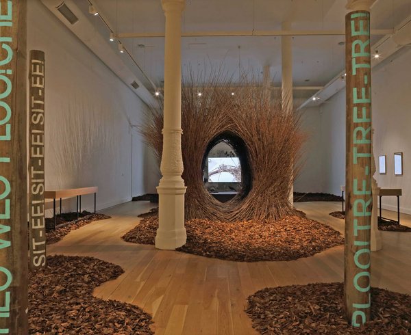 Image: Andy Holden, Four British Birds Make This Similar Call Only When a Hawk Flies Overhead, 2017 at Leeds Art Gallery in 2018. Photograph: Simon Warner