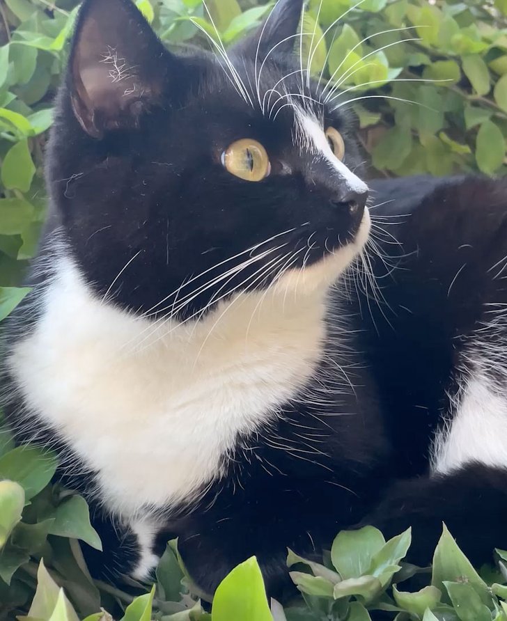 Still from Abi Palmer, Abi Palmer Invents the Weather (Heat), 2023