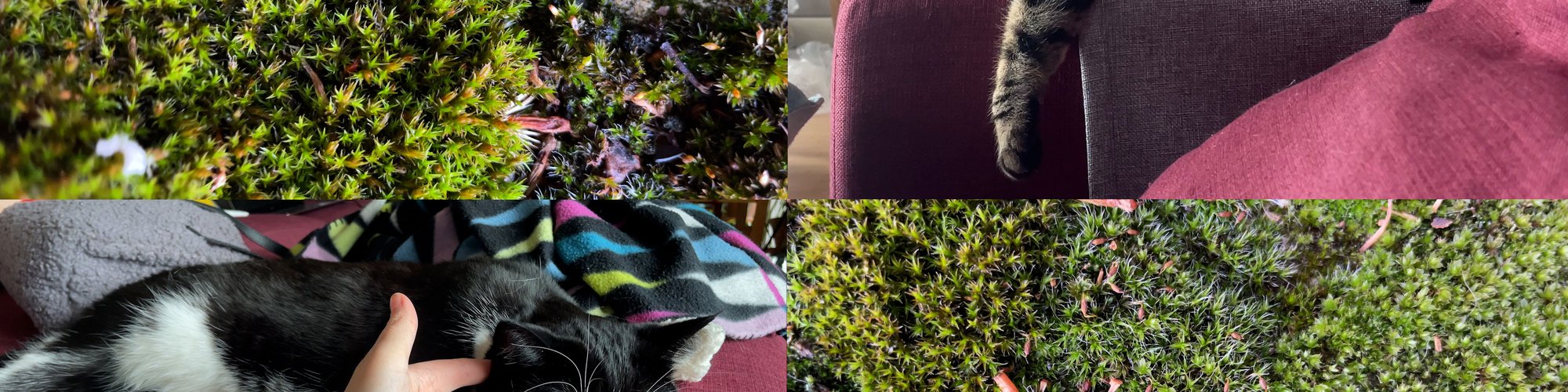 Still from Abi Palmer, Abi Palmer Invents the Weather  (Light), 2023