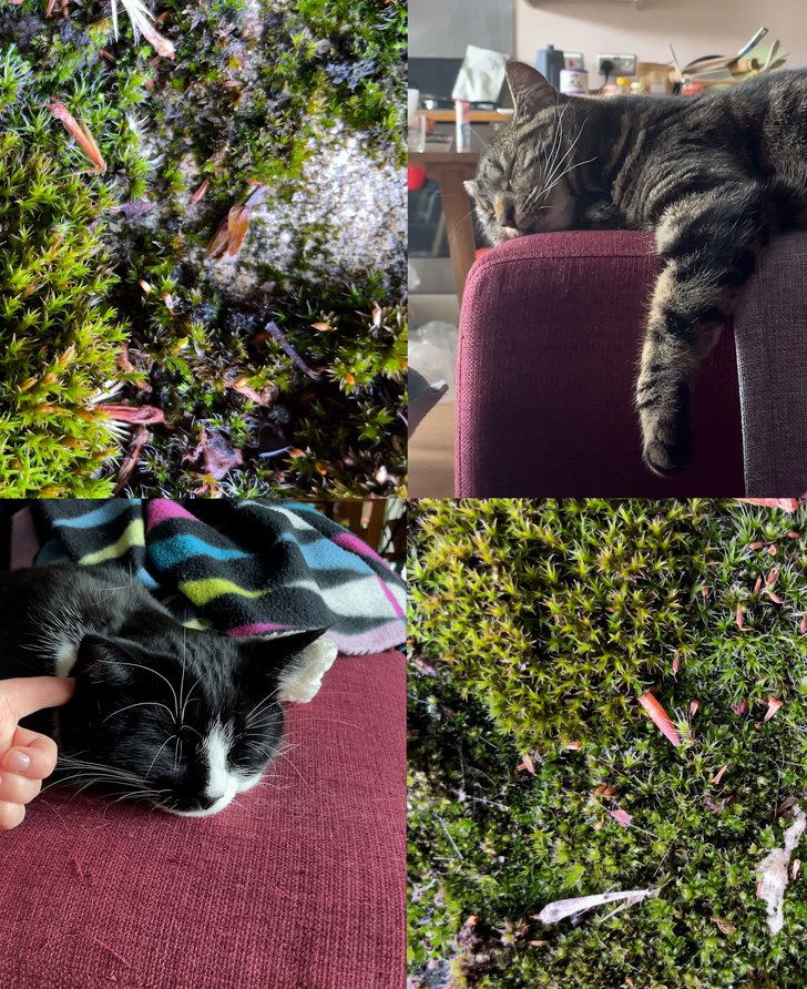 Still from Abi Palmer, Abi Palmer Invents the Weather  (Light), 2023