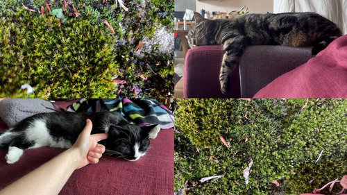 Still from Abi Palmer, Abi Palmer Invents the Weather  (Light), 2023