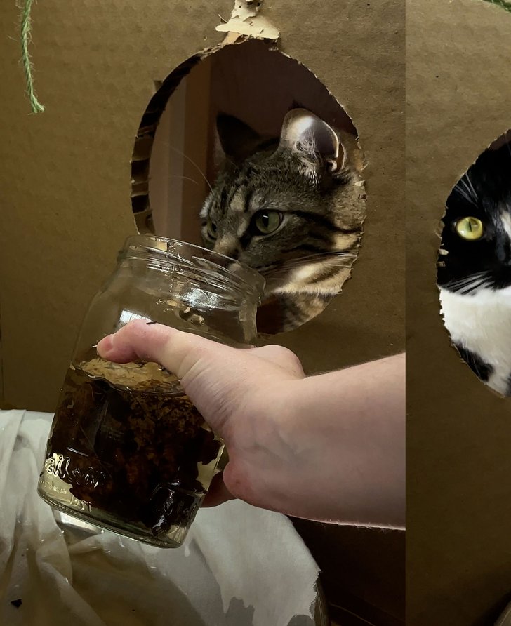 Still from Abi Palmer, Abi Palmer Invents the Weather (Rain), 2023