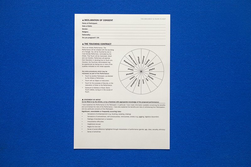 Image: Detail from The Touching Contract, September (2016) part of In the Shadow of the State. Photograph: Miriam O'Connor