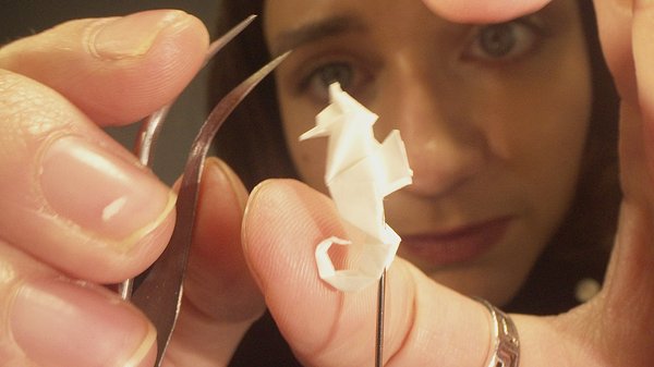 Lili-Maxx Hager - Assistant Producer