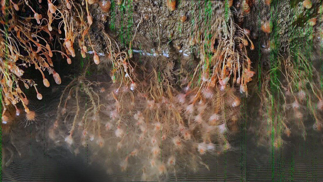 Nastassja Simensky-sea-squirts on the baffle wall_sent over radio.jpg