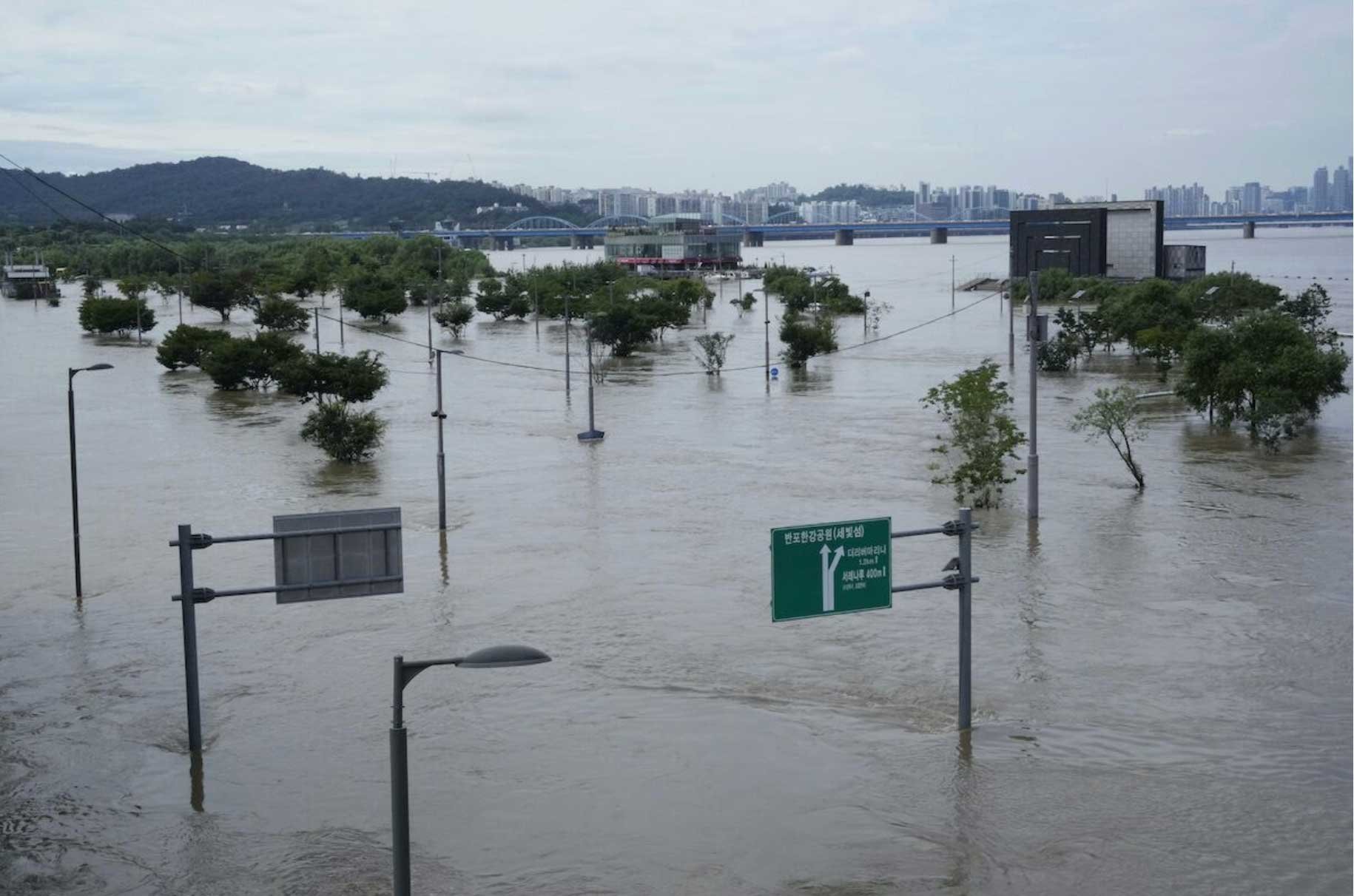 LRB: A park beside the Han river, 10 August 2022.
Photo © Ahn Young-joon/AP/Shutterstock
